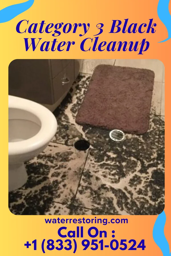 Category 3 Black Water Cleanup in Dunellen, NJ