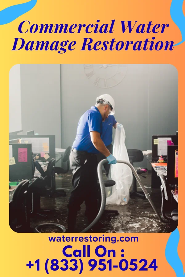 Commercial Water Damage Restoration in Dunellen, NJ
