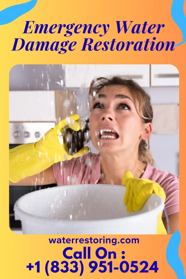 Emergency Water Damage Restoration in Dunellen, NJ