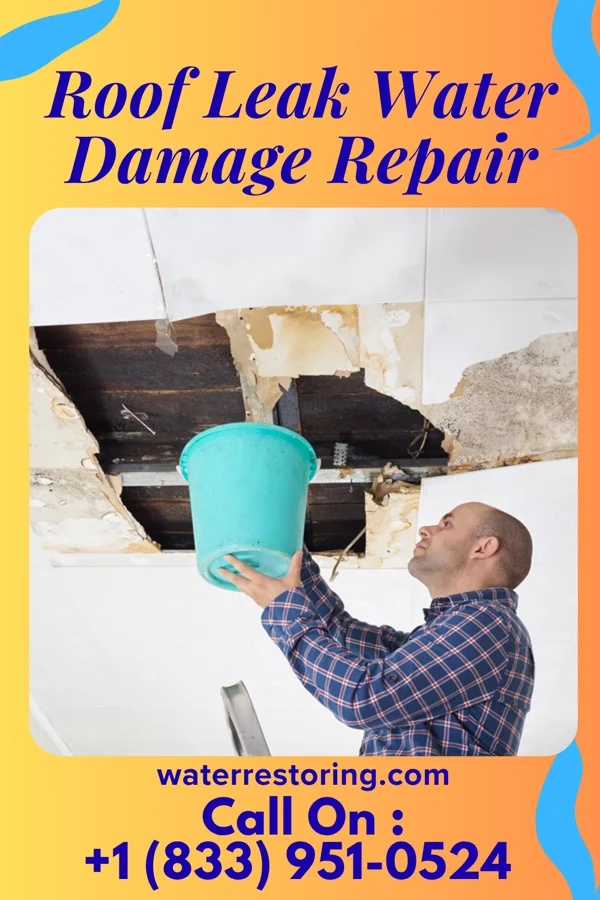 Roof Leak Water Damage Repair in Dunellen, NJ