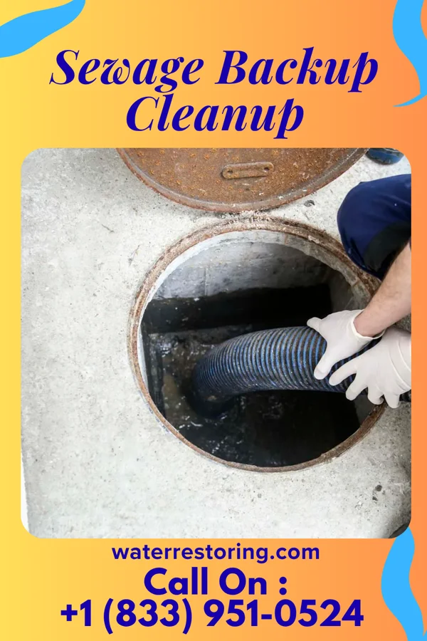 Sewage Backup Cleanup in Dunellen, NJ
