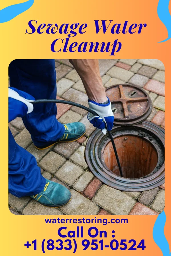 Sewage Water Cleanup in Dunellen, NJ