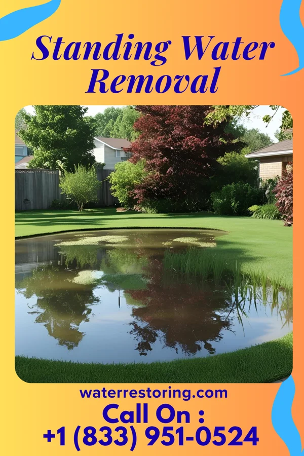 Standing Water Removal in Dunellen, NJ